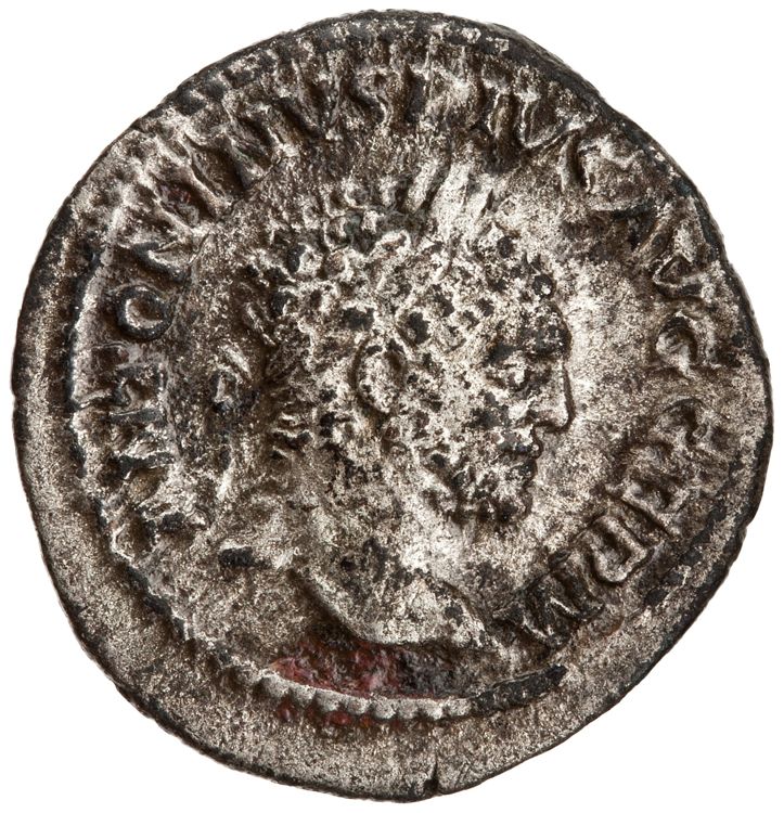 RIC IV Caracalla 251, аверс, American Numismatic Society (ans)