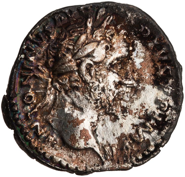 RIC III Antoninus Pius 250, аверс, American Numismatic Society (ans)