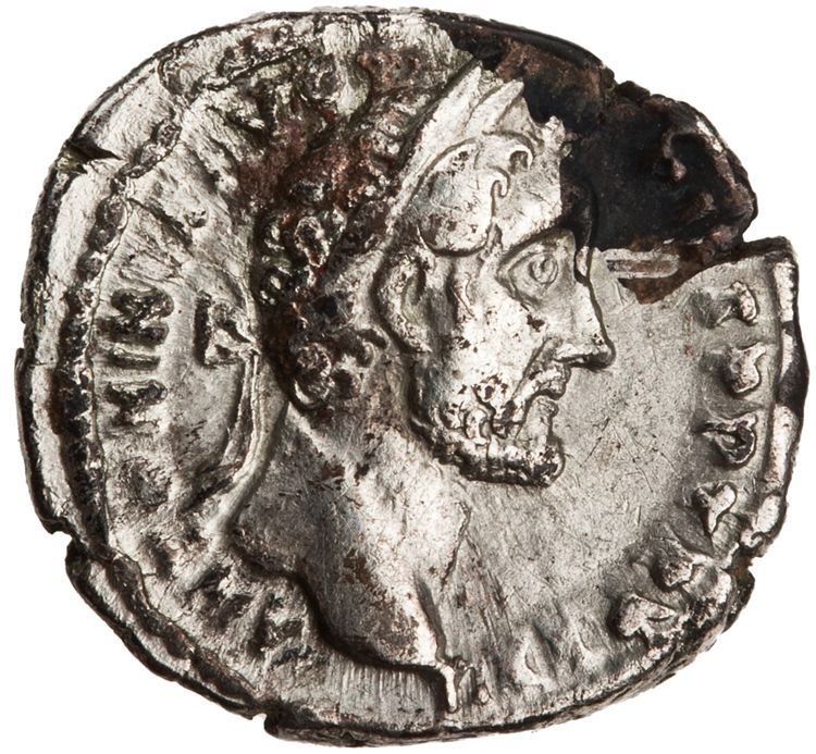 RIC III Antoninus Pius 293A, аверс, American Numismatic Society (ans)
