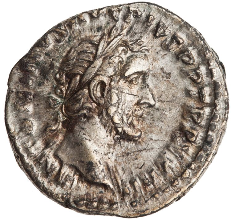 RIC III Antoninus Pius 313C, аверс, American Numismatic Society (ans)