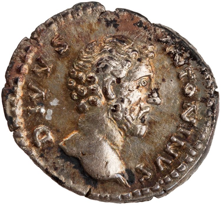 RIC III Marcus Aurelius 431, obverse, American Numismatic Society (ans)