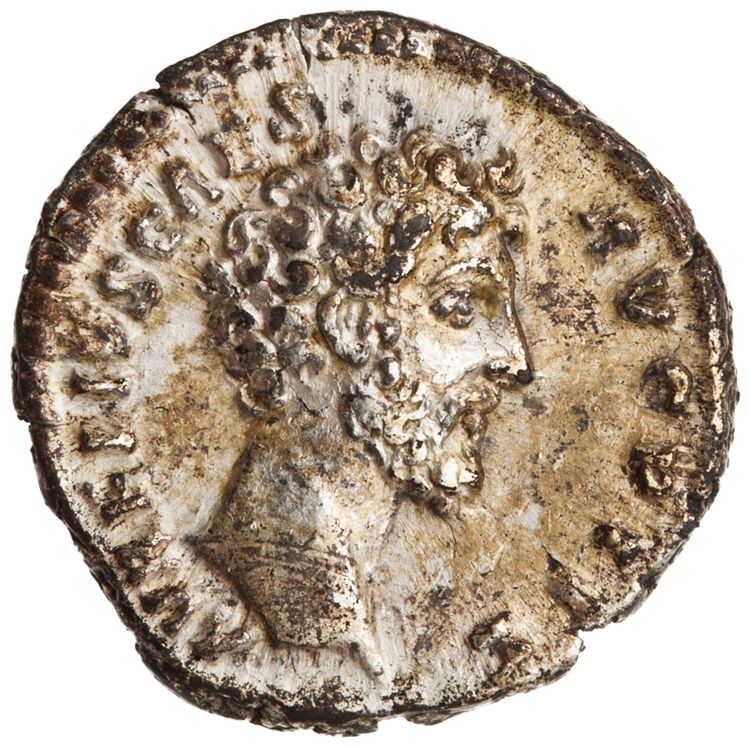 RIC III Antoninus Pius 480E, аверс, American Numismatic Society (ans)