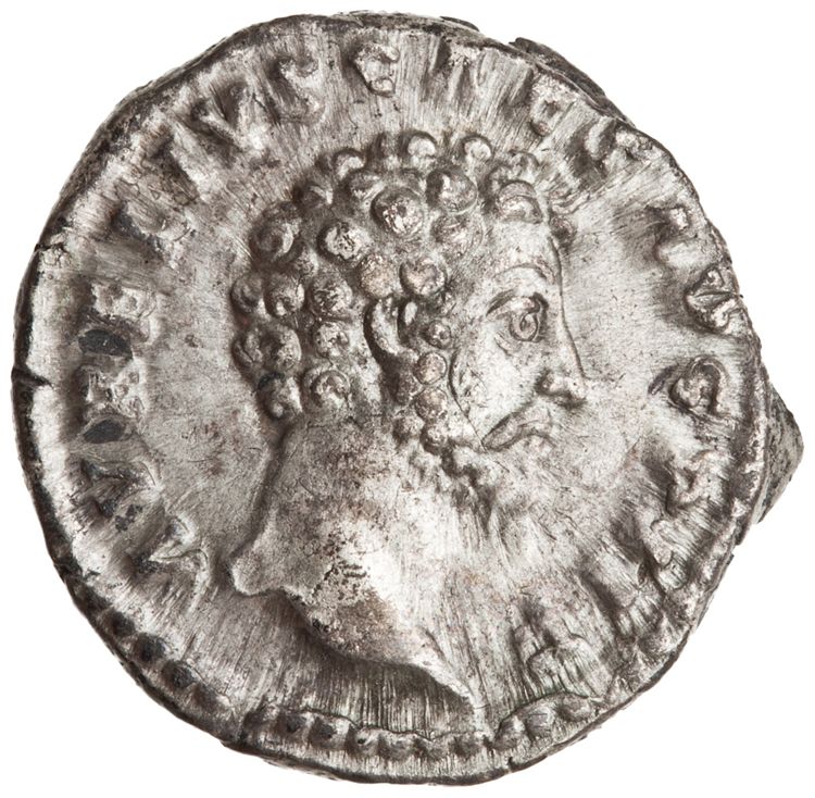 RIC III Antoninus Pius 483, аверс, American Numismatic Society (ans)