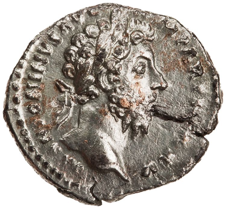 RIC III Marcus Aurelius 164, аверс, American Numismatic Society (ans)