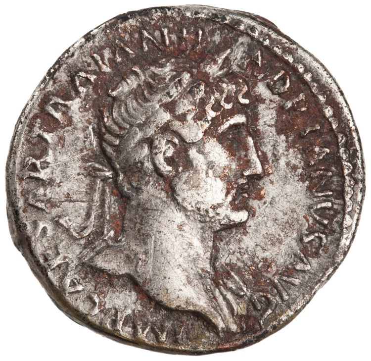 RIC II Hadrian 77b, аверс, American Numismatic Society (ans)