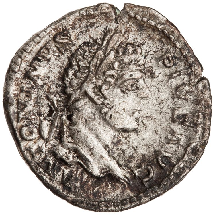RIC IV Caracalla 88, аверс, American Numismatic Society (ans)
