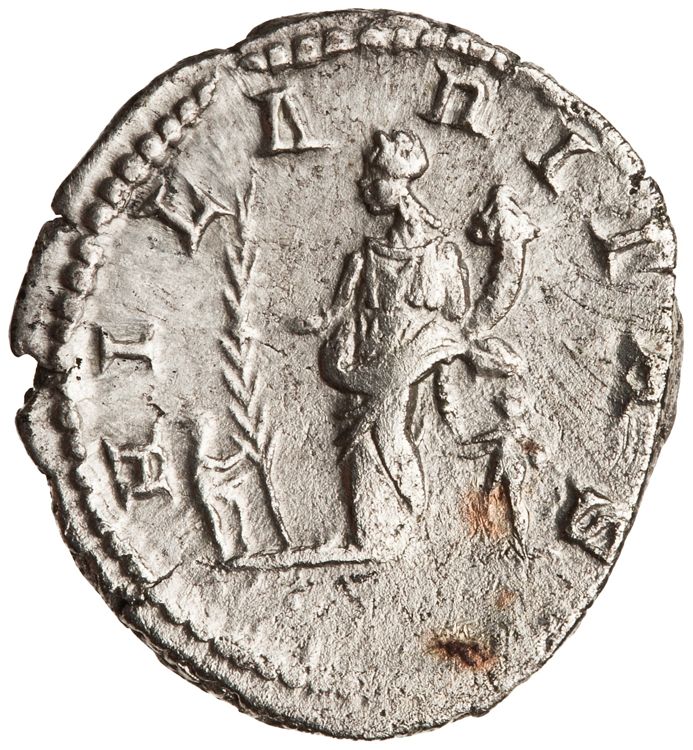RIC IV Septimius Severus 557, реверс, American Numismatic Society (ans)
