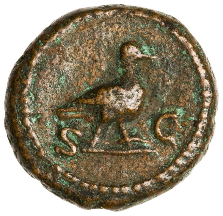 reverse RIC II Anonymous 24