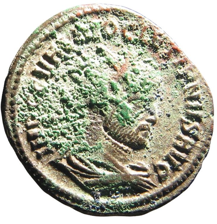 RIC V Diocletian 256, obverse, American Numismatic Society (ans)
