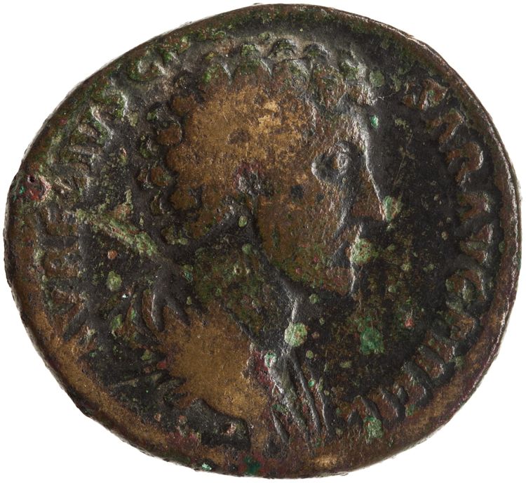 RIC III Antoninus Pius 1302A, аверс, American Numismatic Society (ans)