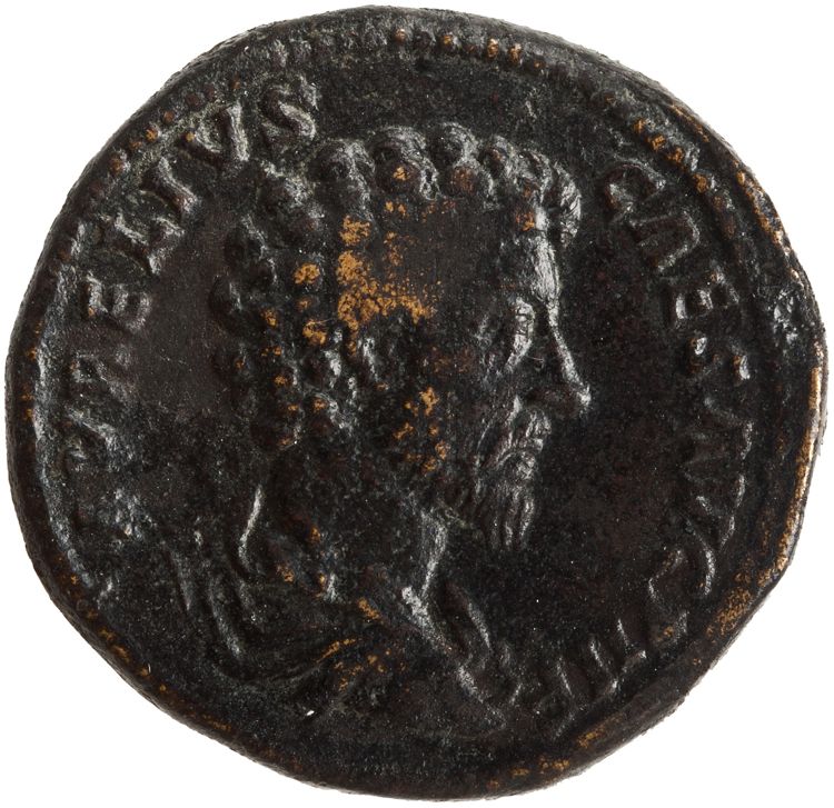 RIC III Antoninus Pius 1352Ab, аверс, American Numismatic Society (ans)
