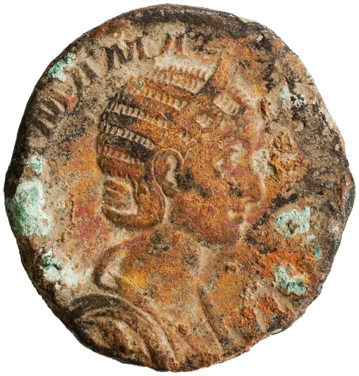 RIC IV Severus Alexander 683, obverse, American Numismatic Society (ans)