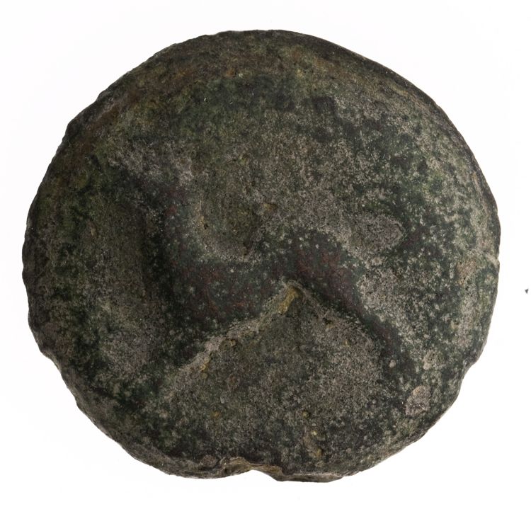 RRC 24/6a, аверс, American Numismatic Society (ans)