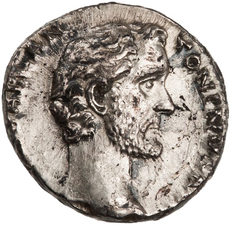 RIC III Antoninus Pius 2, аверс, American Numismatic Society (ans)