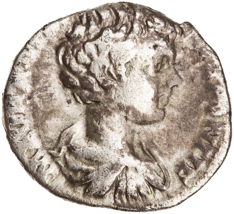 RIC IV Caracalla 7, аверс, American Numismatic Society (ans)