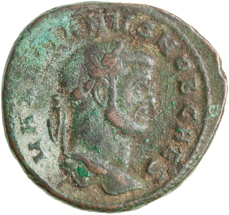 RIC VI Rome 67b, аверс, American Numismatic Society (ans)
