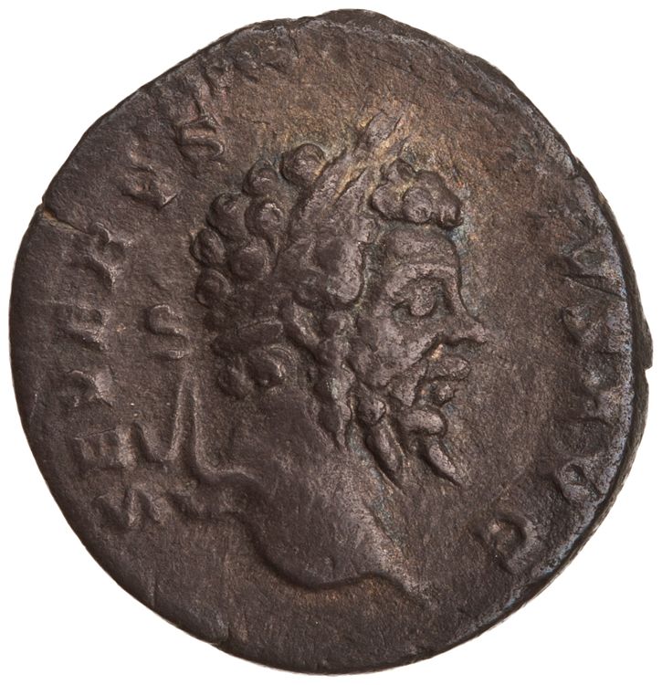 RIC IV Septimius Severus 176, obverse, American Numismatic Society (ans)