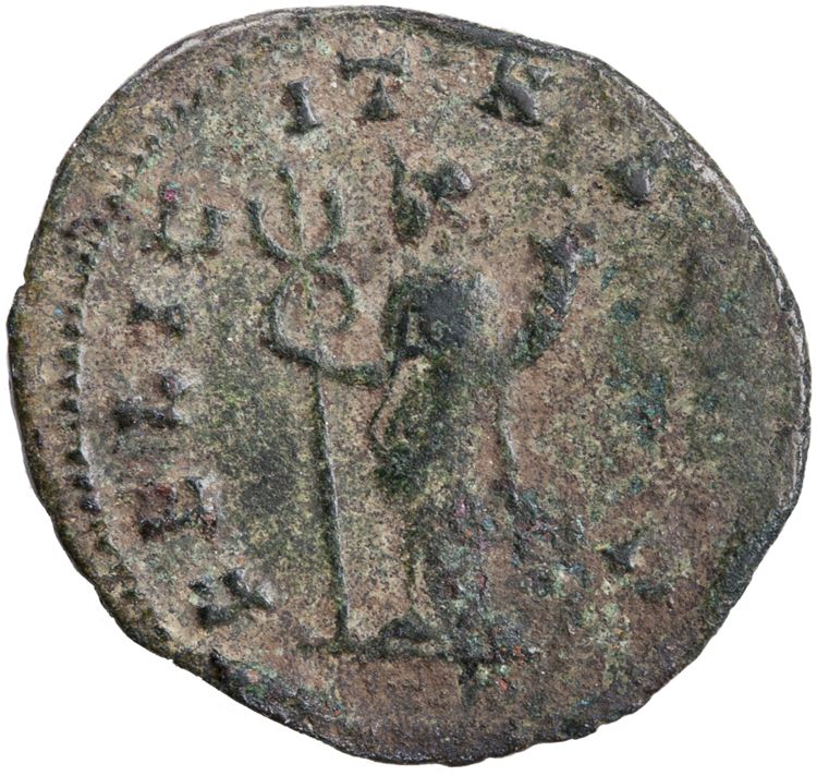 reverse RIC V Claudius Gothicus 32