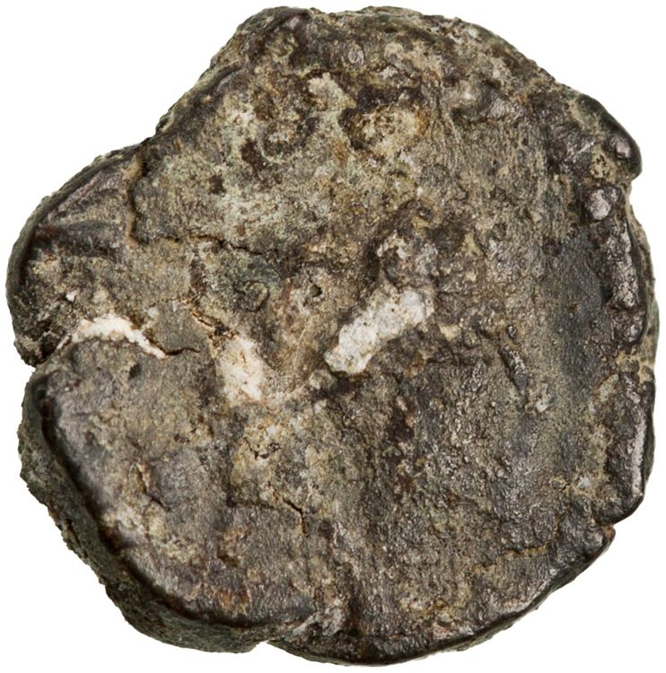 RIC X Basiliscus 1014, аверс, American Numismatic Society (ans)