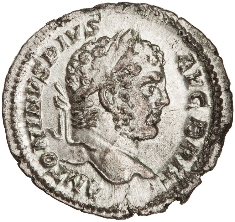 RIC IV Caracalla 222, аверс, American Numismatic Society (ans)
