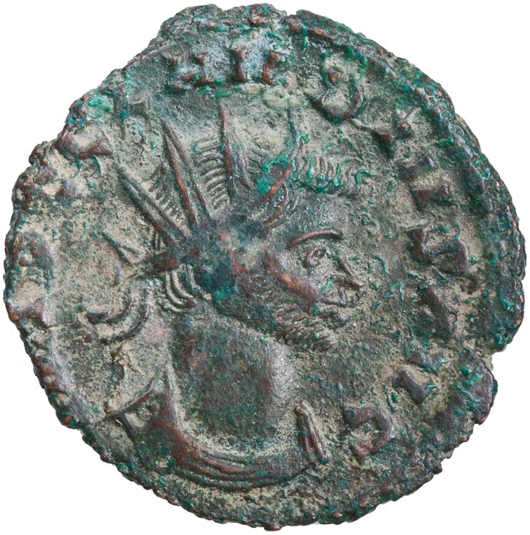 RIC V Claudius Gothicus 36, obverse, American Numismatic Society (ans)