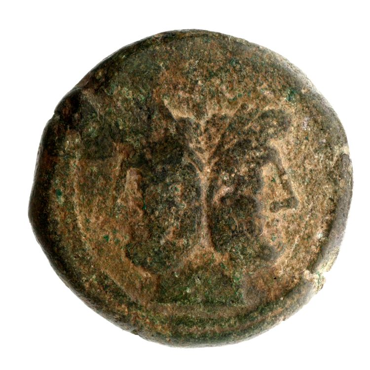 RRC 119/3, аверс, American Numismatic Society (ans)