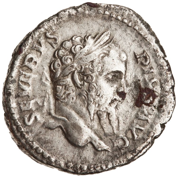 RIC IV Septimius Severus 233, obverse, American Numismatic Society (ans)