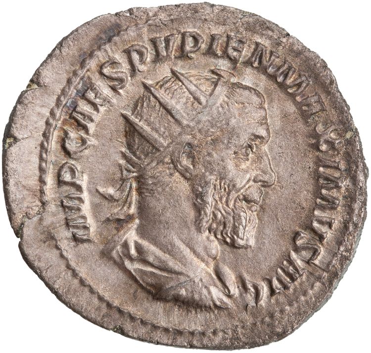 RIC IV Pupienus 9B, аверс, American Numismatic Society (ans)