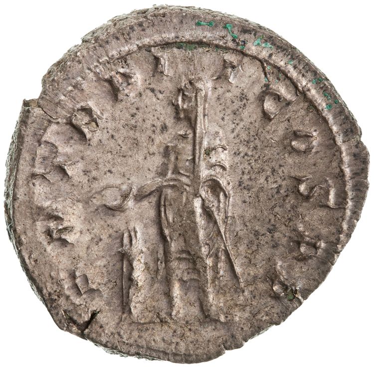 RIC IV Gordian III 54, реверс, American Numismatic Society (ans)
