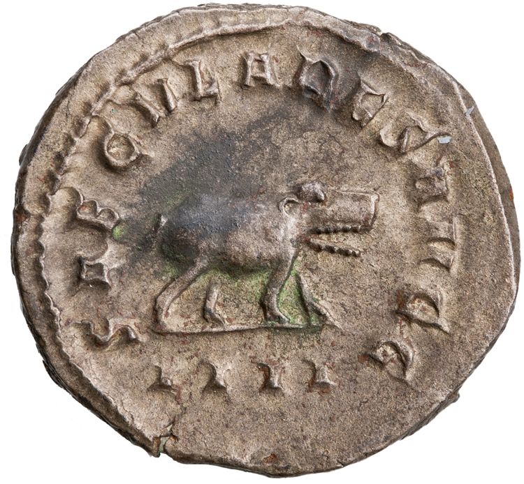RIC IV Philip I 116B, реверс, American Numismatic Society (ans)