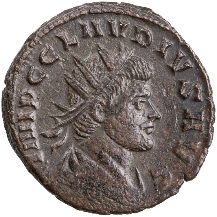 RIC V Claudius Gothicus 34, obverse, American Numismatic Society (ans)