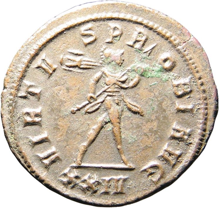 RIC V Probus 810, реверс, American Numismatic Society (ans)