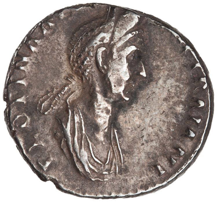 RIC II Trajan 730 (denarius), аверс, American Numismatic Society (ans)