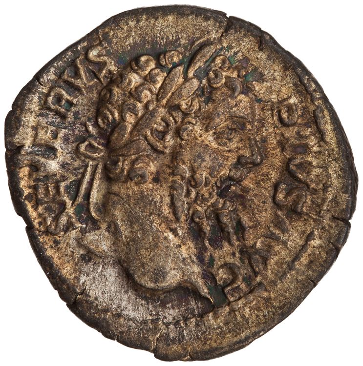 RIC IV Septimius Severus 201, аверс, American Numismatic Society (ans)