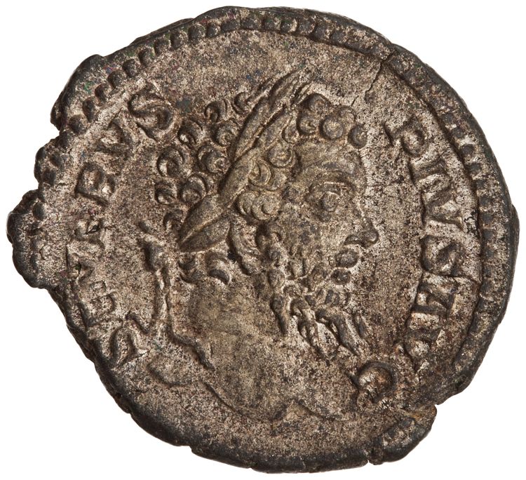 RIC IV Septimius Severus 211, obverse, American Numismatic Society (ans)
