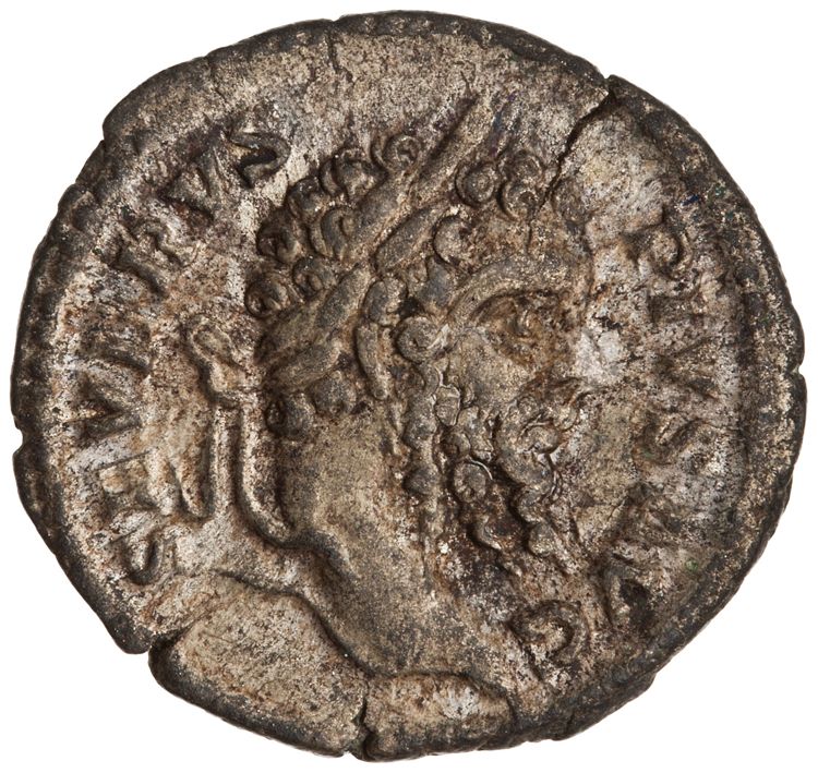 RIC IV Septimius Severus 220, аверс, American Numismatic Society (ans)