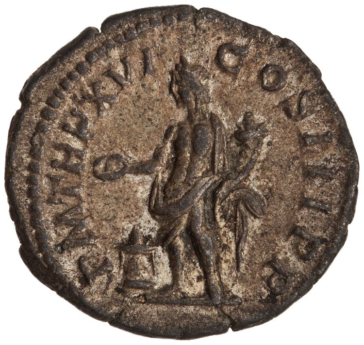 RIC IV Septimius Severus 220, реверс, American Numismatic Society (ans)