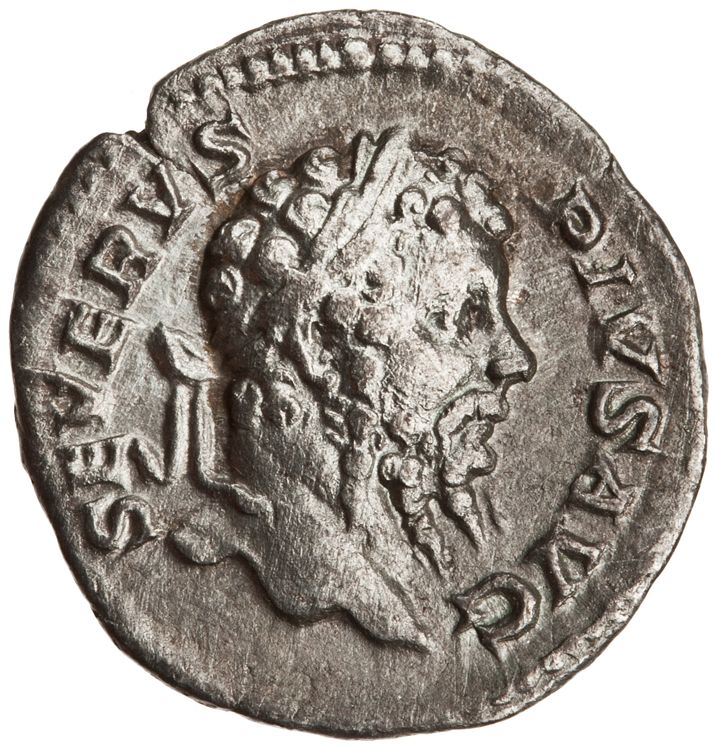 RIC IV Septimius Severus 226, аверс, American Numismatic Society (ans)