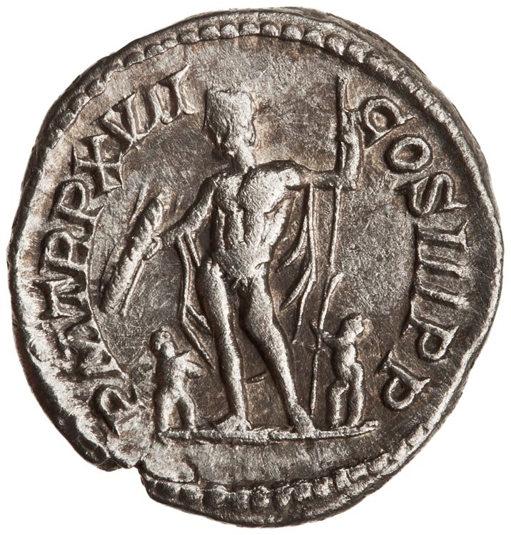 RIC IV Septimius Severus 226, реверс, American Numismatic Society (ans)
