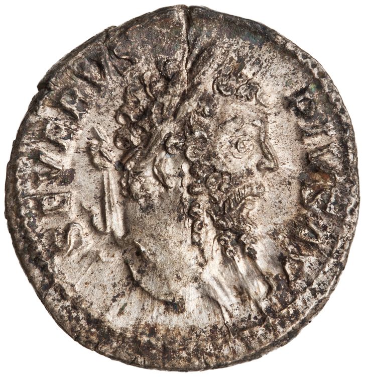 RIC IV Septimius Severus 228, аверс, American Numismatic Society (ans)