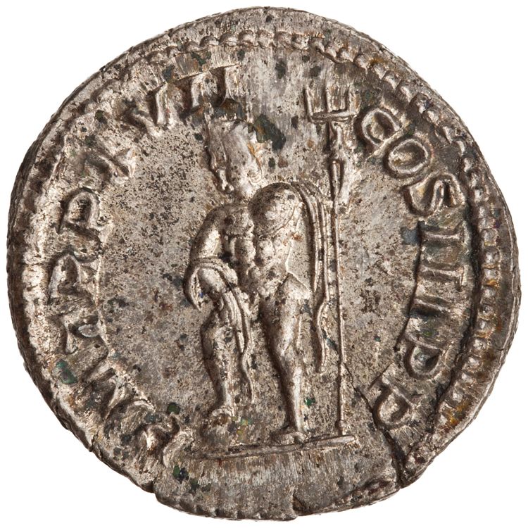 RIC IV Septimius Severus 228, реверс, American Numismatic Society (ans)