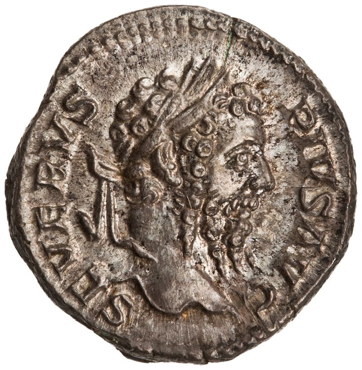 RIC IV Septimius Severus 230, аверс, American Numismatic Society (ans)