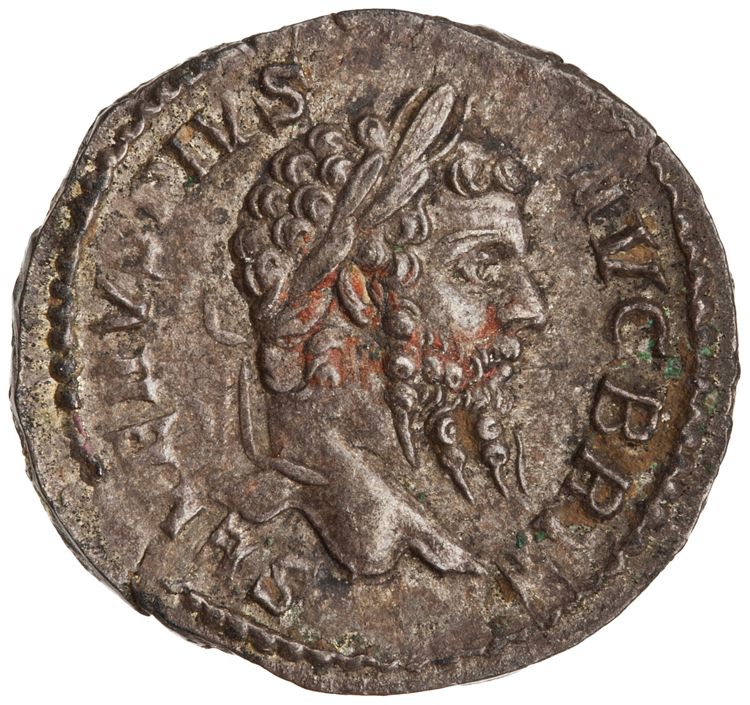 RIC IV Septimius Severus 333, аверс, American Numismatic Society (ans)