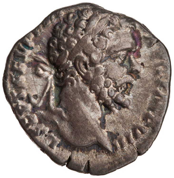 RIC IV Septimius Severus 74, аверс, American Numismatic Society (ans)