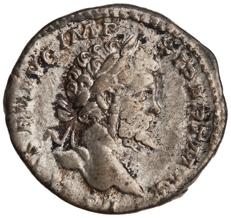 аверс RIC IV Septimius Severus 144B (denarius)