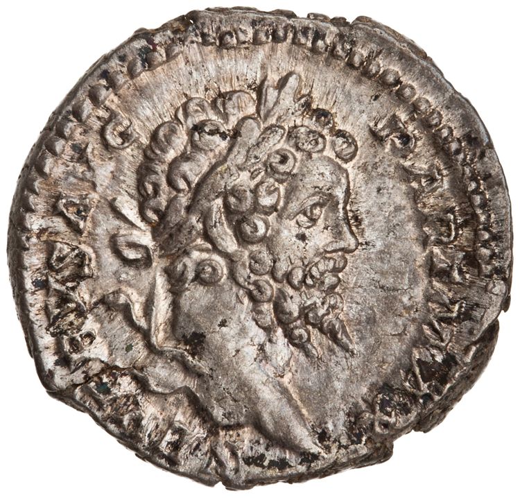 RIC IV Septimius Severus 150, obverse, American Numismatic Society (ans)