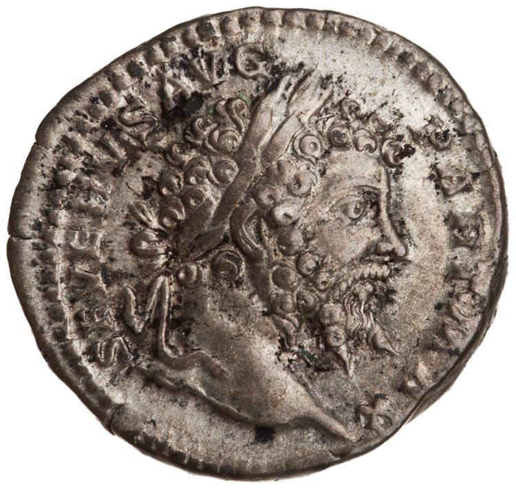 RIC IV Septimius Severus 166, аверс, American Numismatic Society (ans)