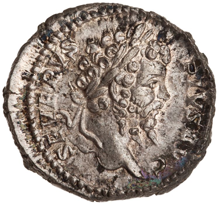 RIC IV Septimius Severus 176, obverse, American Numismatic Society (ans)