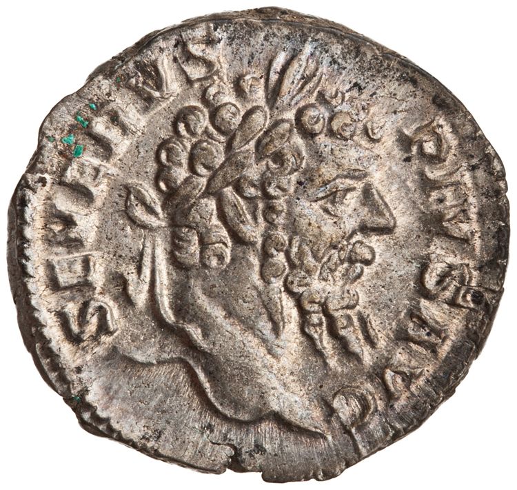 RIC IV Septimius Severus 288 (denarius), аверс, American Numismatic Society (ans)