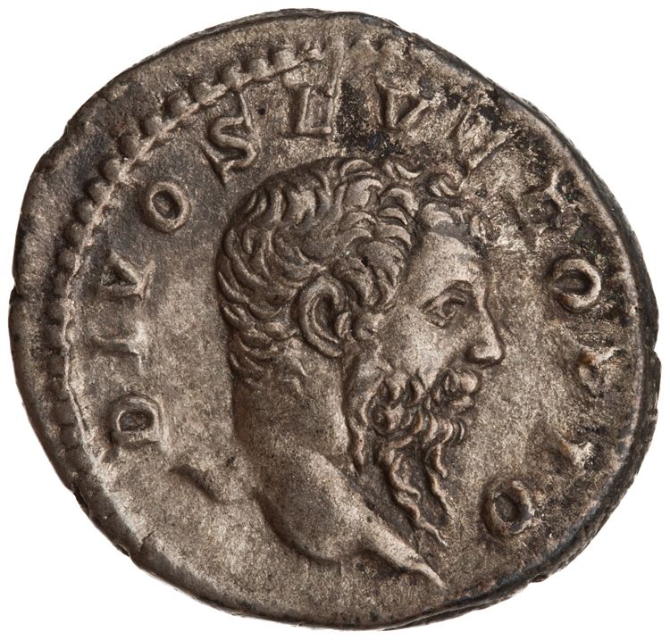 RIC IV Caracalla 191C, аверс, American Numismatic Society (ans)